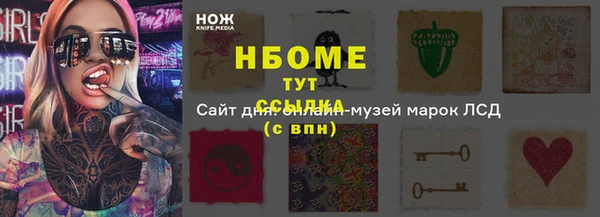 индика Балабаново