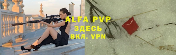 индика Балабаново