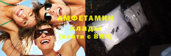 индика Балабаново