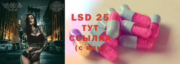 индика Балабаново