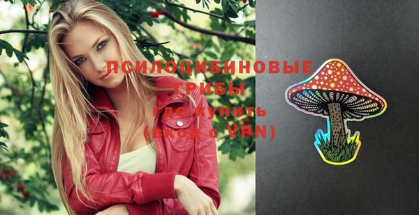 индика Балабаново