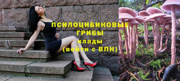 индика Балабаново