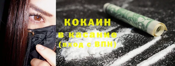 индика Балабаново