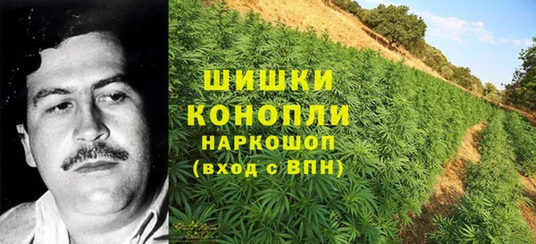 сатива Баксан