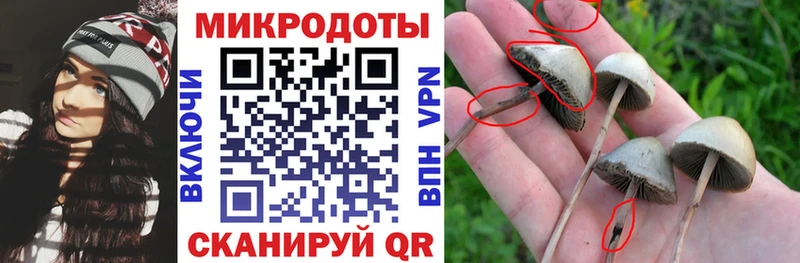 купить наркоту  Туймазы  Псилоцибиновые грибы мухоморы 